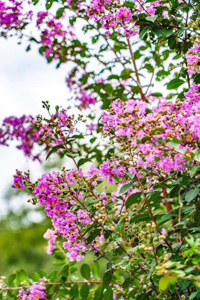 https://bt-photos.global.ssl.fastly.net/charleston/1280_boomver_1_26023238-2.jpg