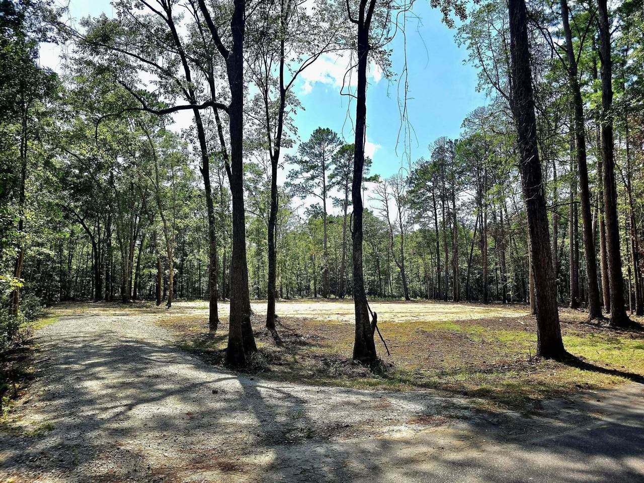 0 White Sands Road - Photo 1