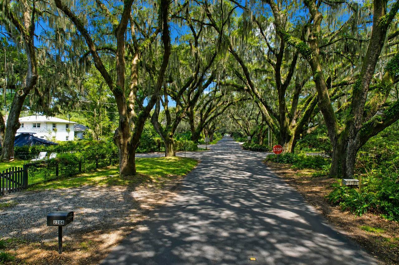 https://bt-photos.global.ssl.fastly.net/charleston/1280_boomver_1_26024627-2.jpg