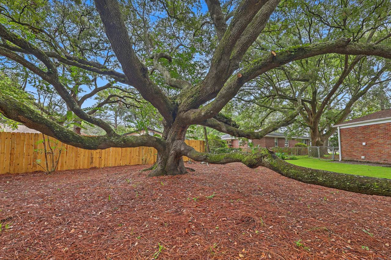 https://bt-photos.global.ssl.fastly.net/charleston/1280_boomver_1_26024681-2.jpg
