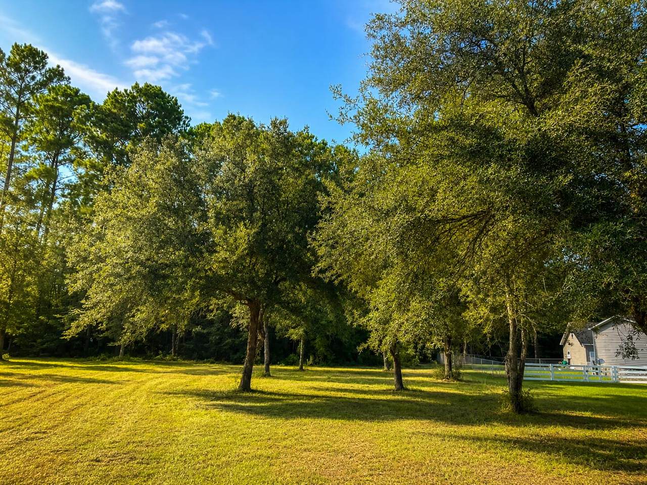 https://bt-photos.global.ssl.fastly.net/charleston/1280_boomver_1_26024859-2.jpg