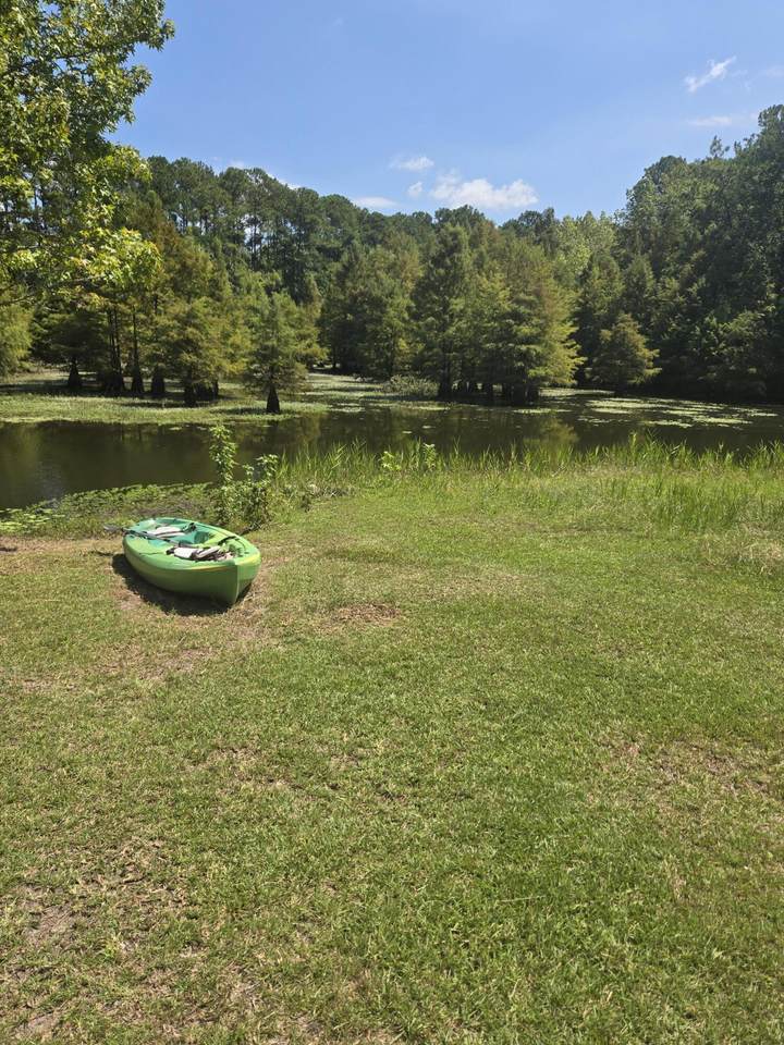 https://bt-photos.global.ssl.fastly.net/charleston/orig_boomver_2_26025163-2.jpg