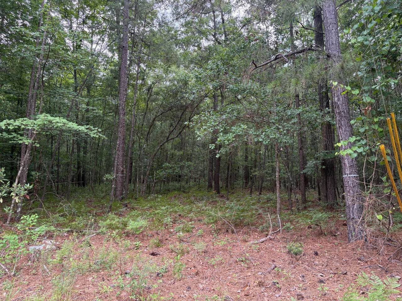https://bt-photos.global.ssl.fastly.net/charleston/1280_boomver_1_26025565-2.jpg