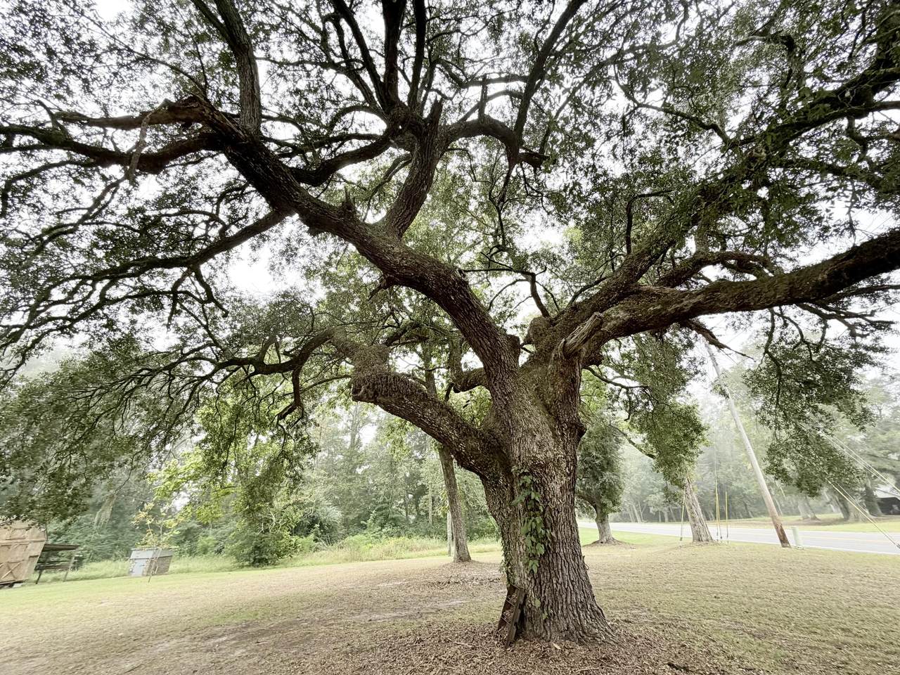 https://bt-photos.global.ssl.fastly.net/charleston/1280_boomver_1_26027228-2.jpg