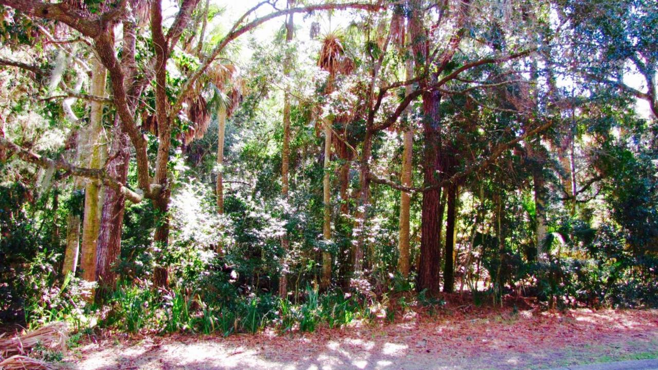 2645 Seabrook Island Road - Photo 1