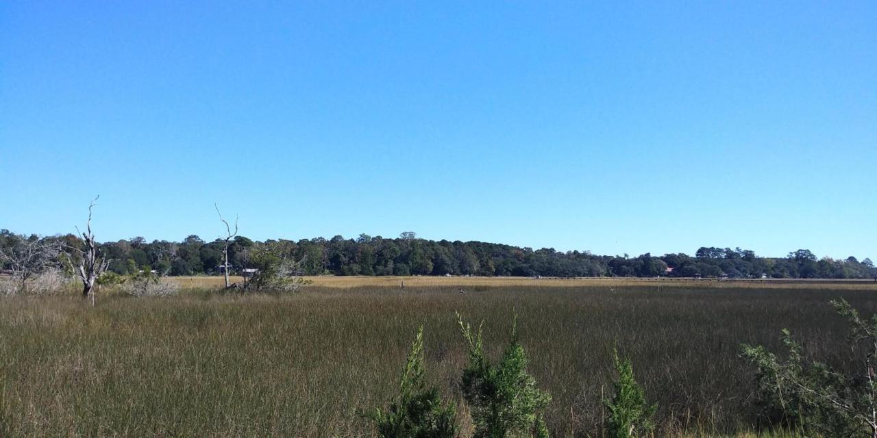 Lot 75 Tattersall Lane - Photo 1