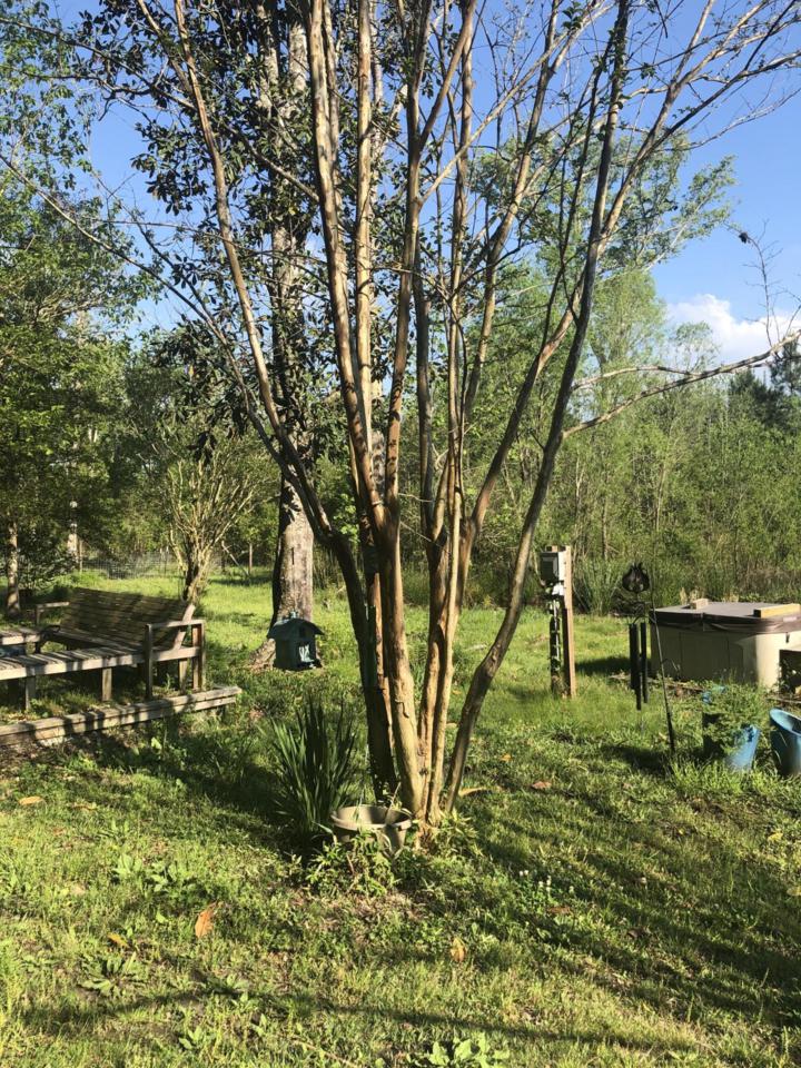 135 Starlight Lane - Photo 1