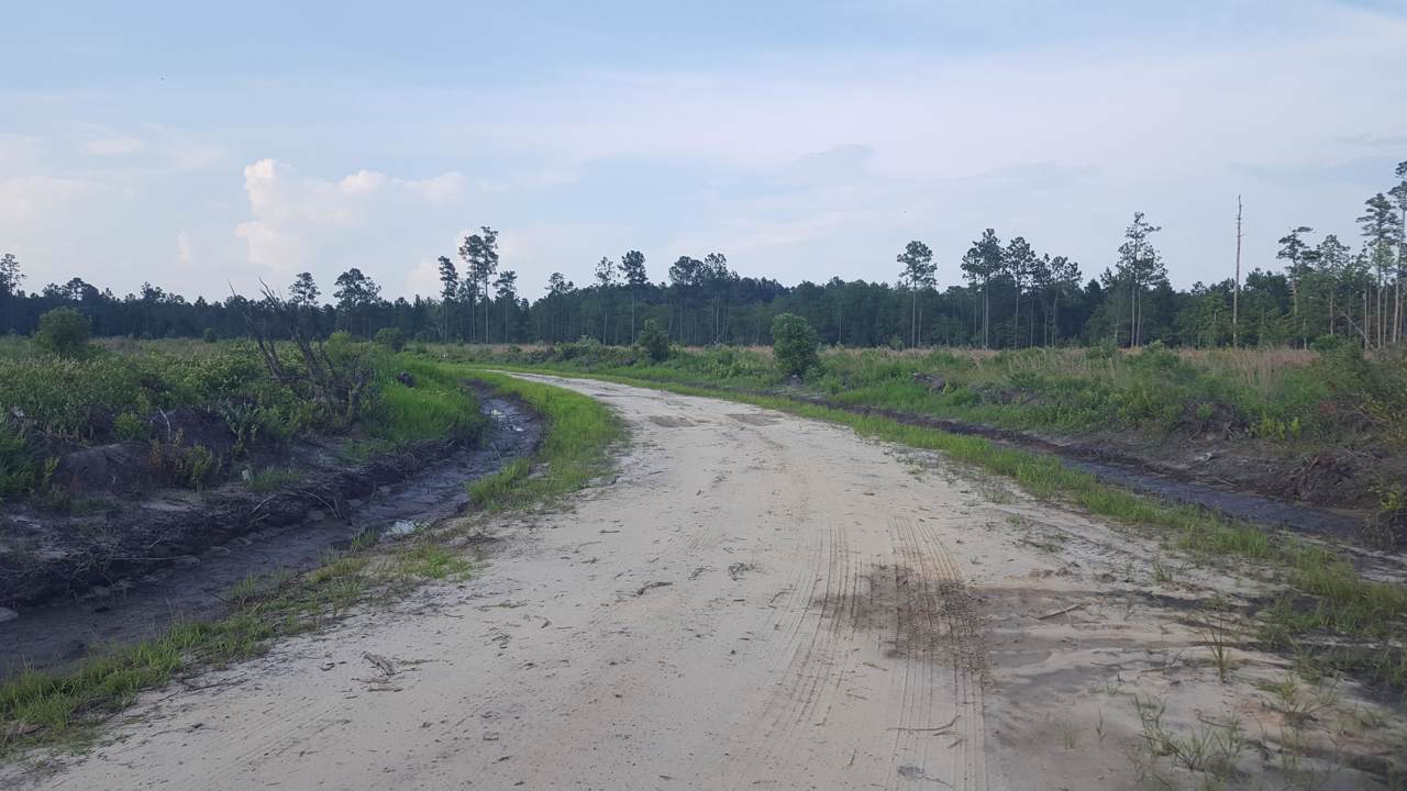 8654 Cane Branch Road - Photo 1