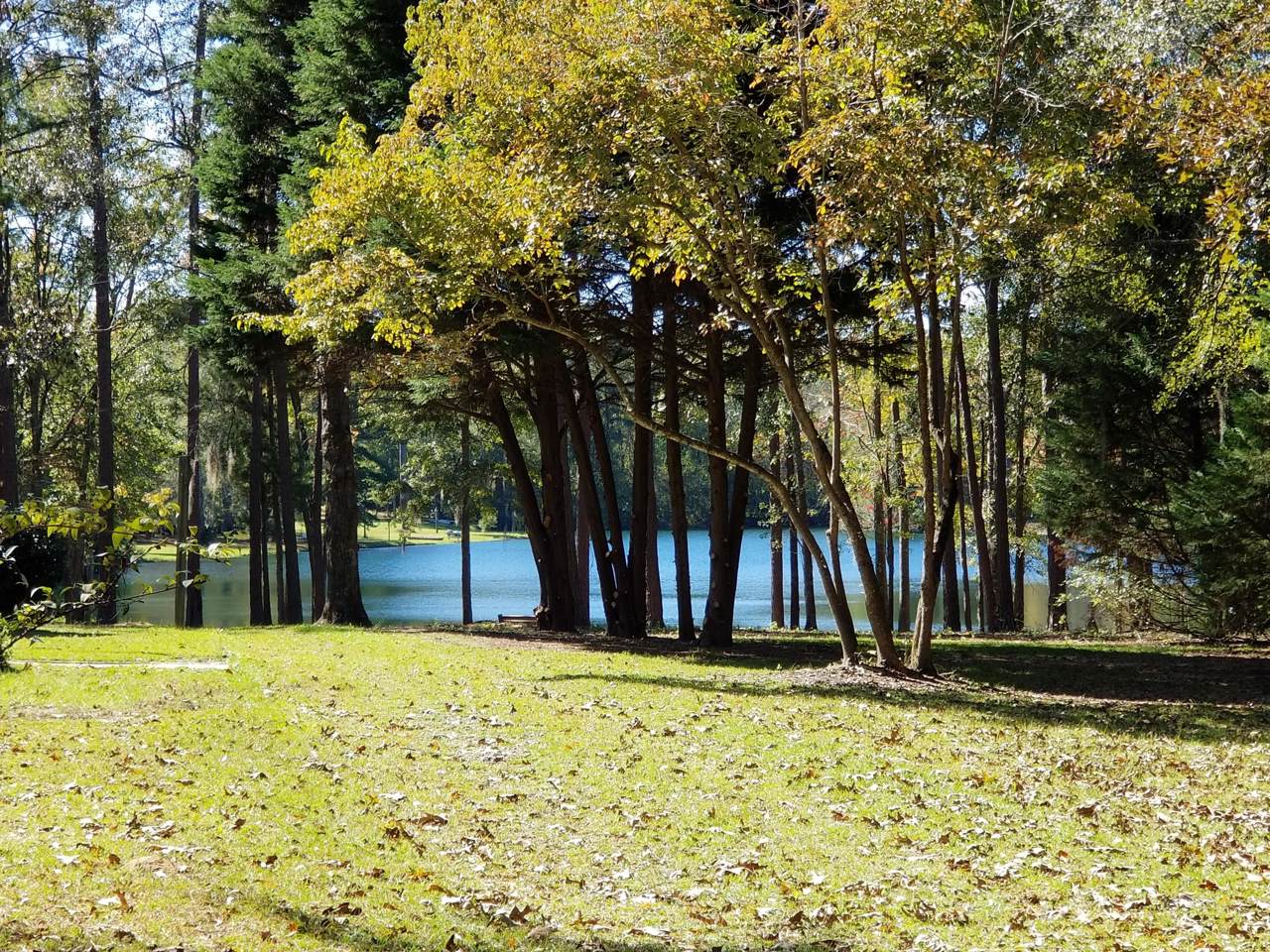 0 Santee Lakes Court - Photo 1
