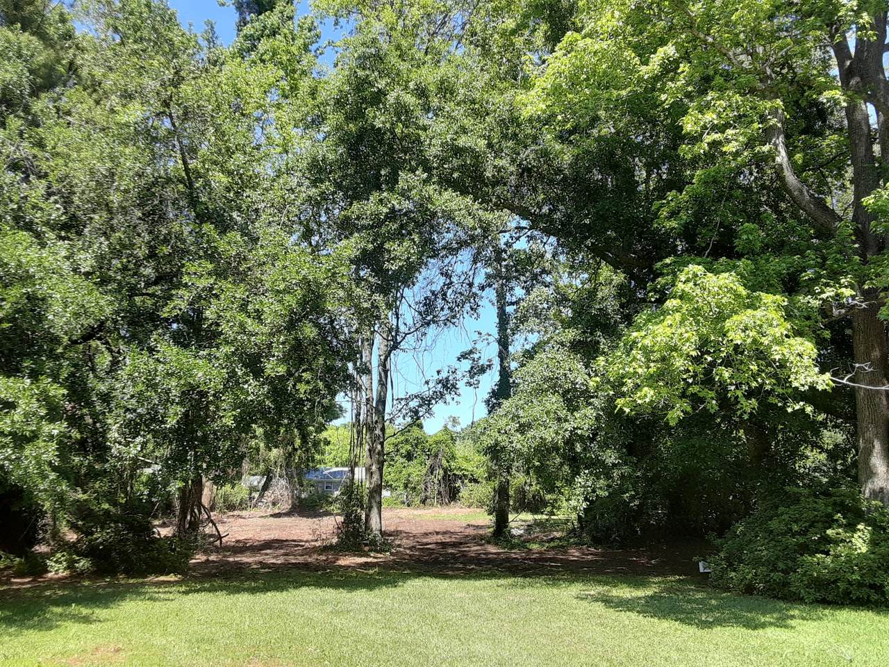 0 Pleasant Pines Street - Photo 1 0 Pleasant Pines Street - Photo 1