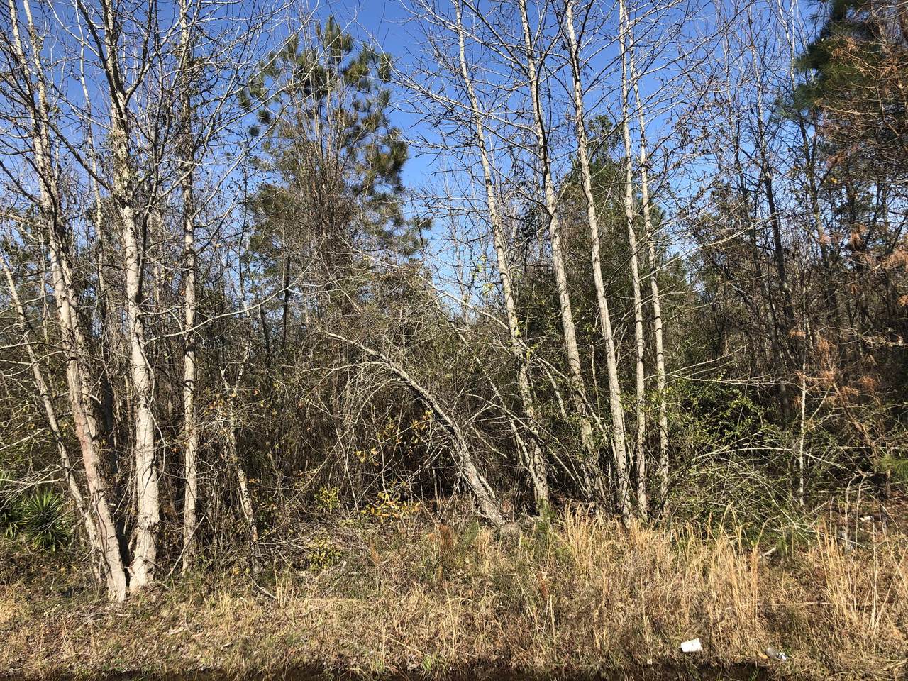 0 Caswell Lane - Photo 1