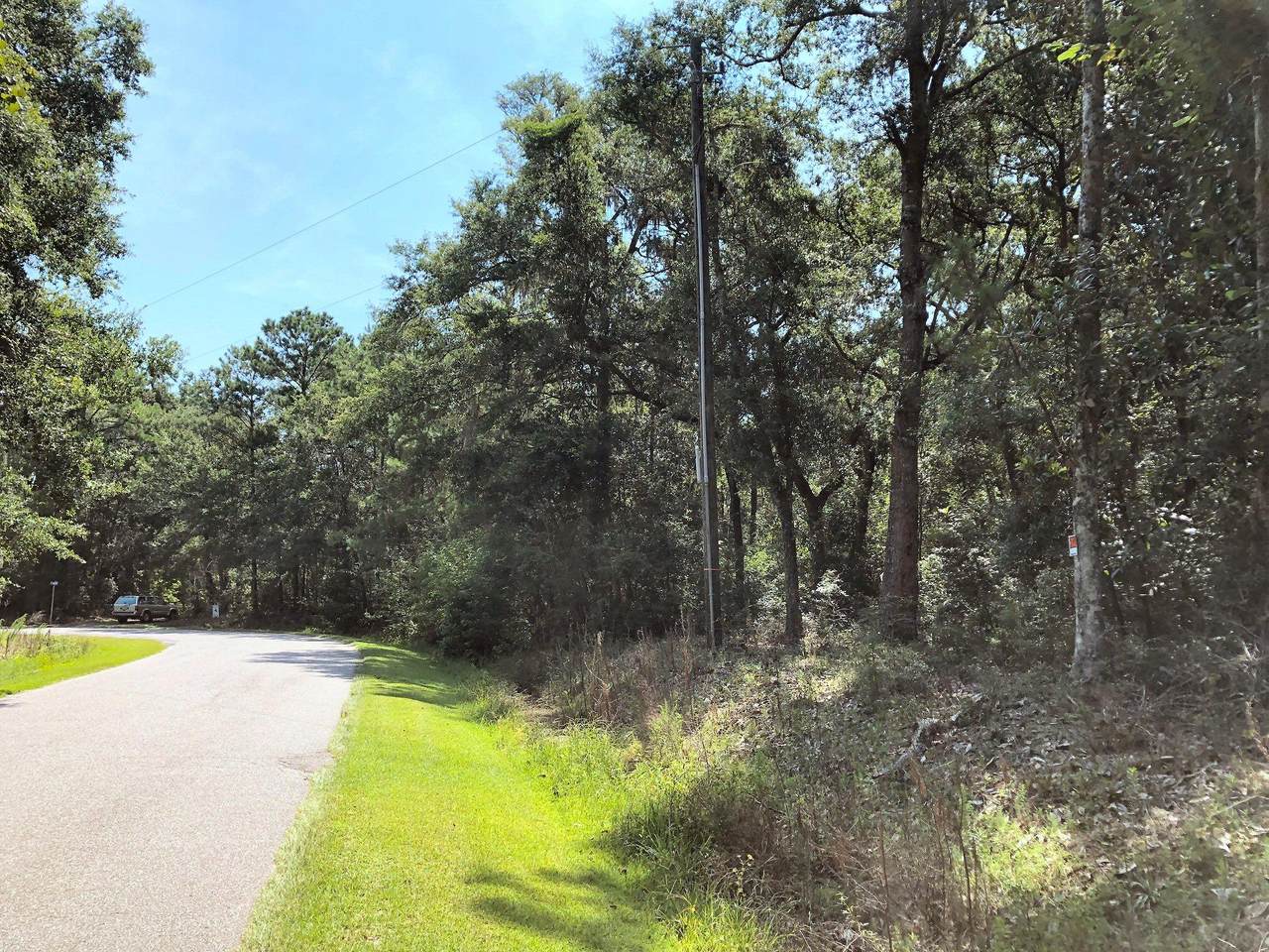 8167 Chisolm Plantation Road - Photo 1