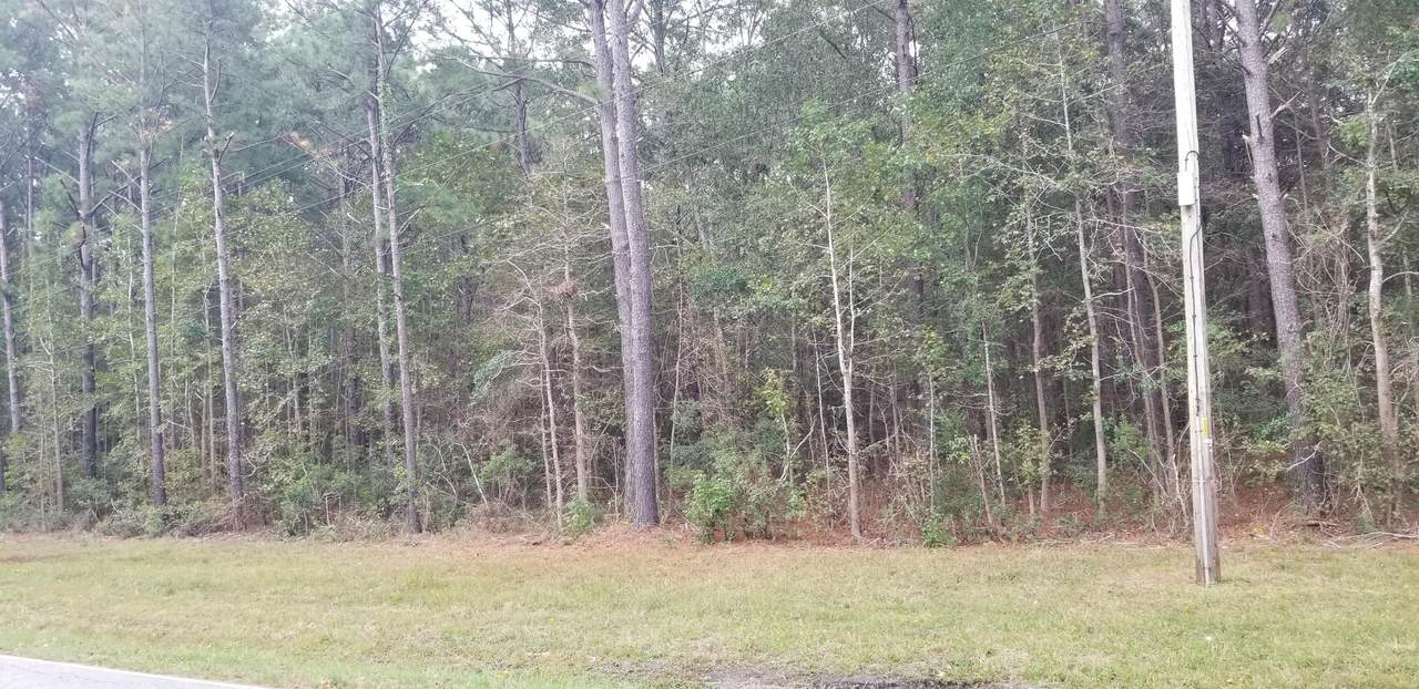 0 Old Back River Road - Photo 1