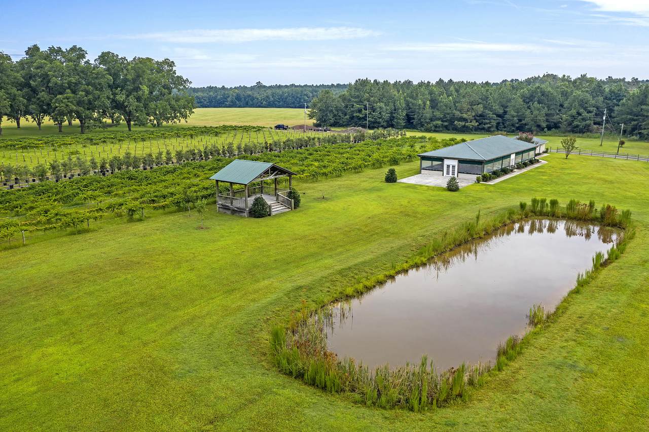 7826 Sniders Highway - Photo 1