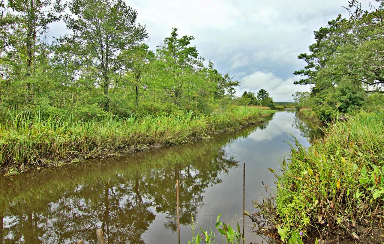 1173 French Quarter Creek Road - Photo 1