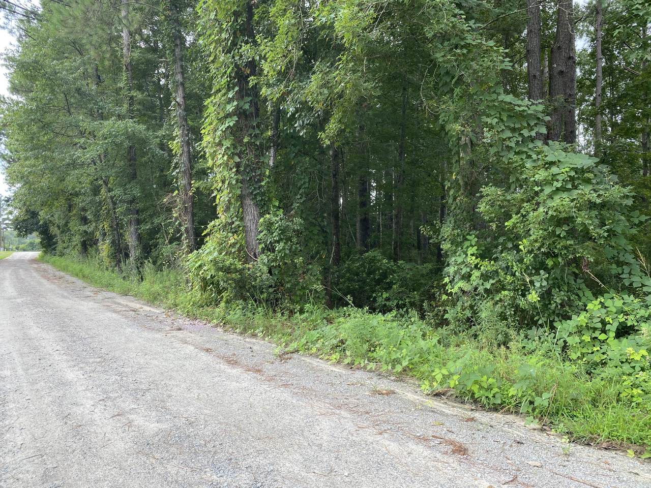 250 Crystal Lane - Photo 1
