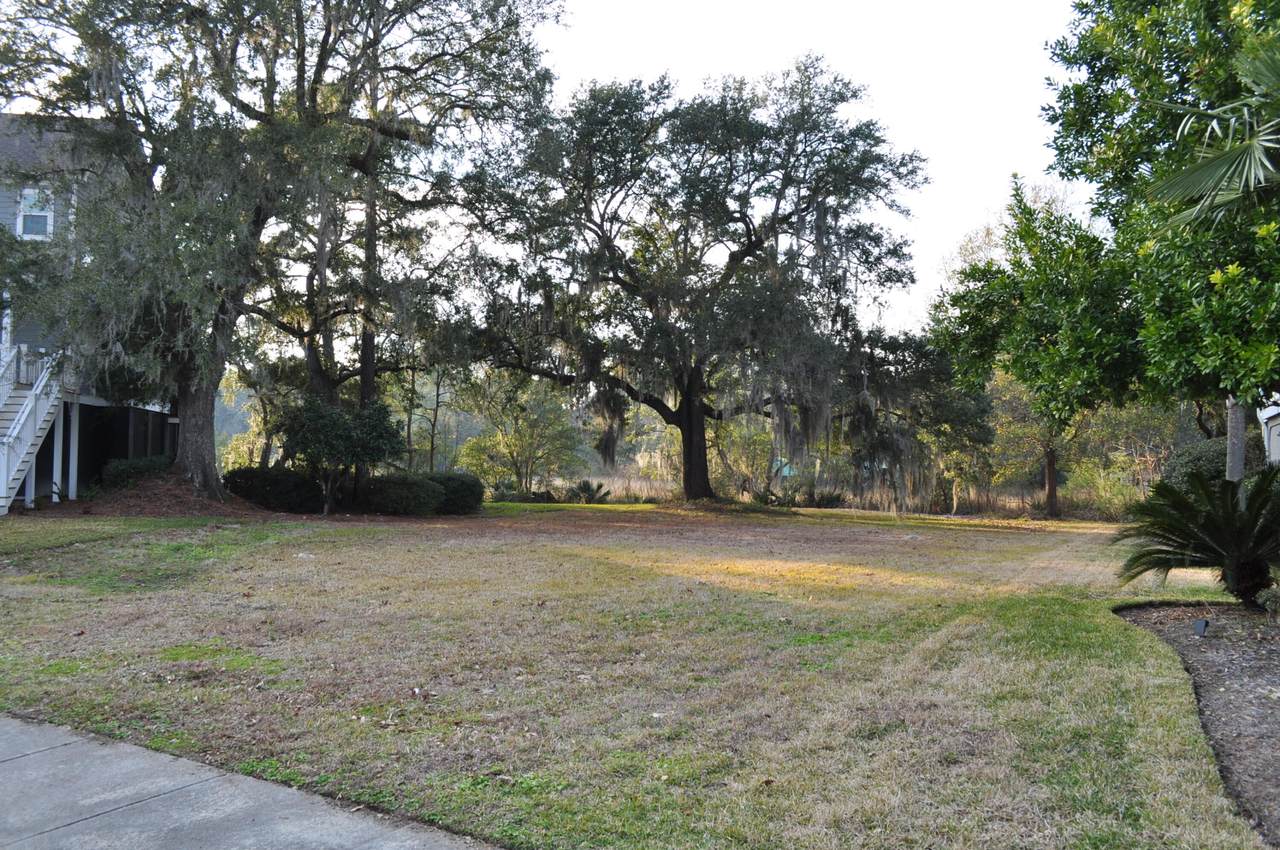1630 Bull Creek Lane - Photo 1