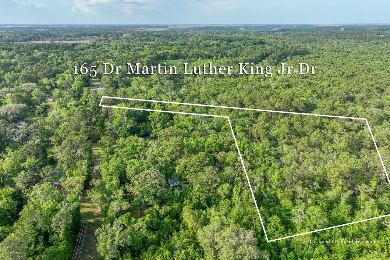 165 Dr Martin Luther King Jr Drive - Photo 1