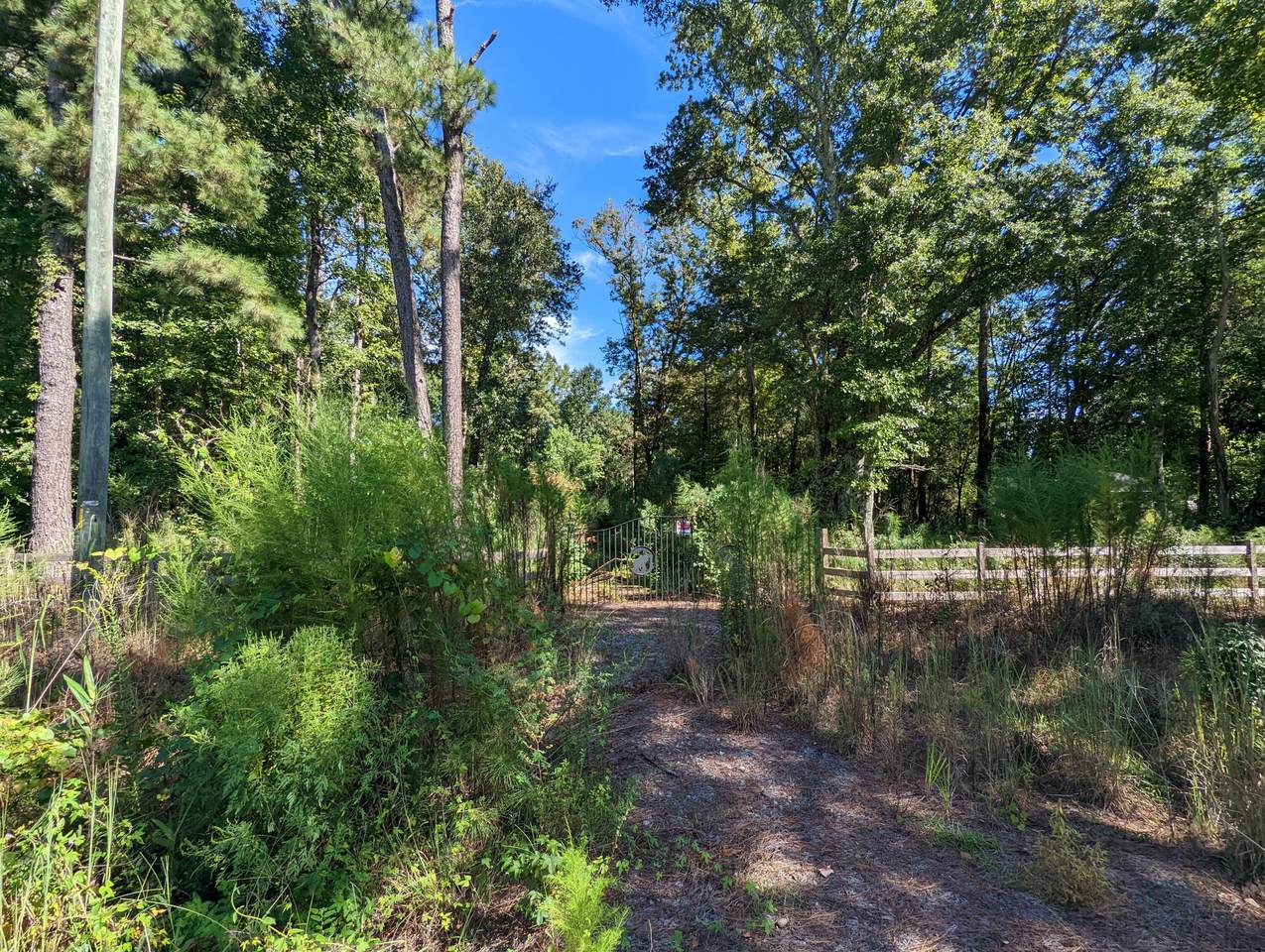 10725 Highway 17 - Photo 1