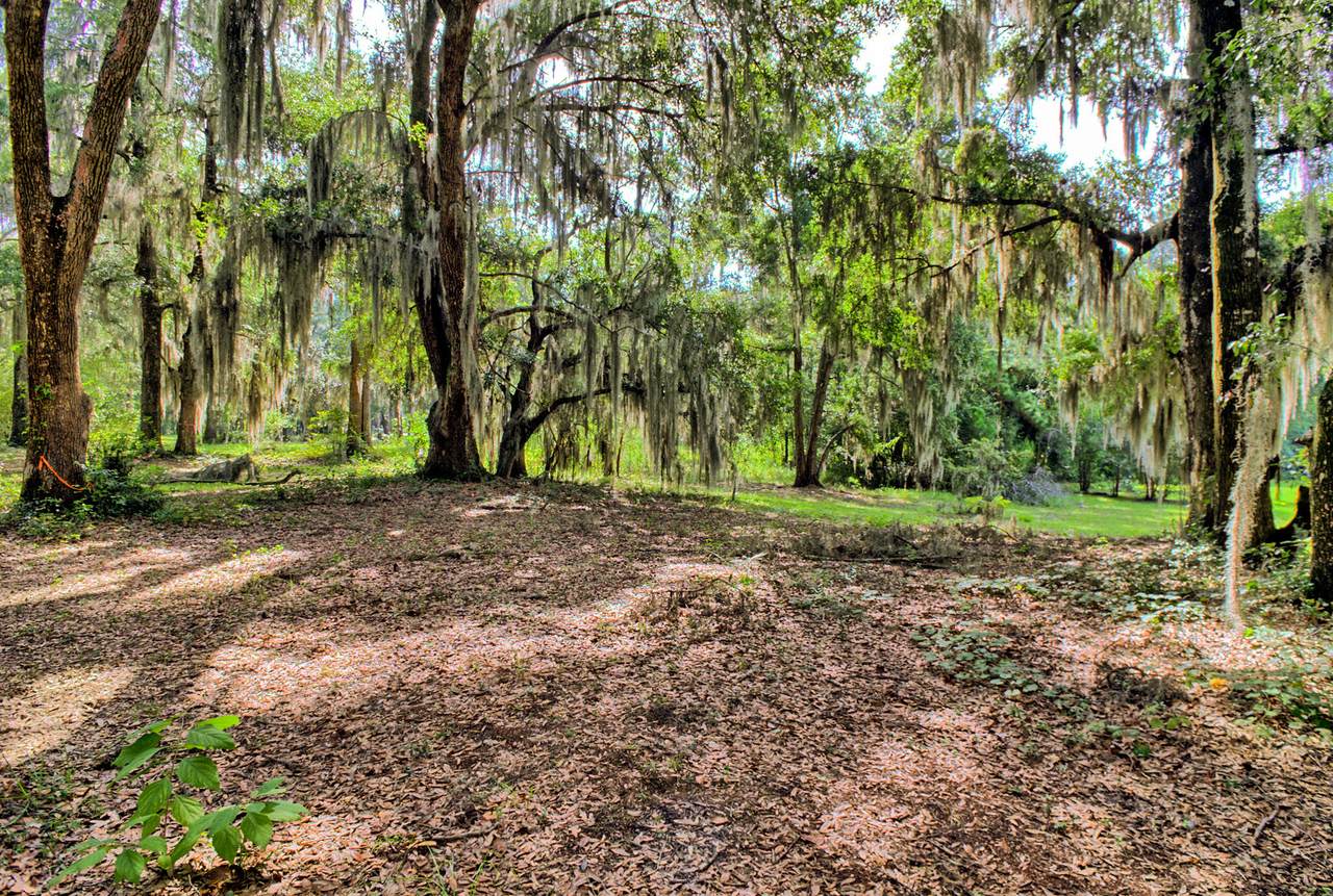4139 Nature View Circle - Photo 1