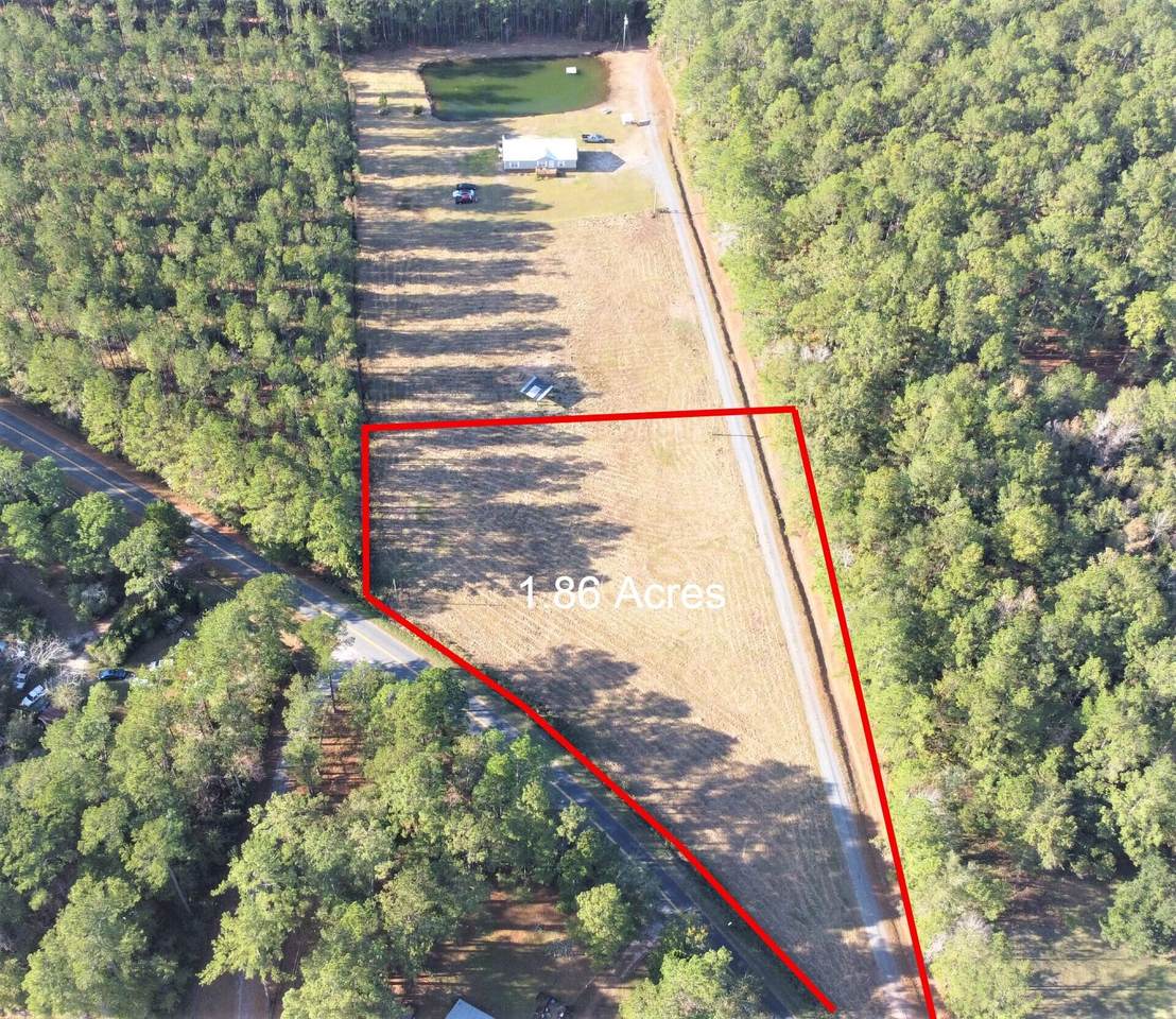 10038 Randall - Photo 1