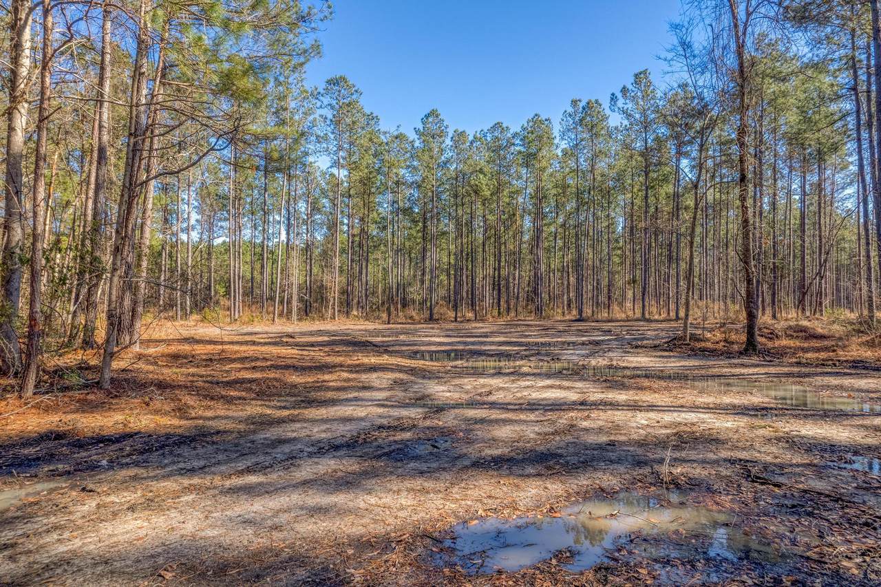 1118 Dehayville Drive - Photo 1