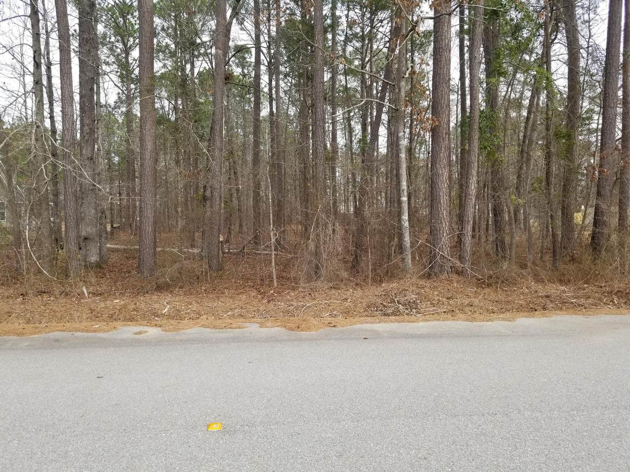 0 Sorin Circle - Photo 1