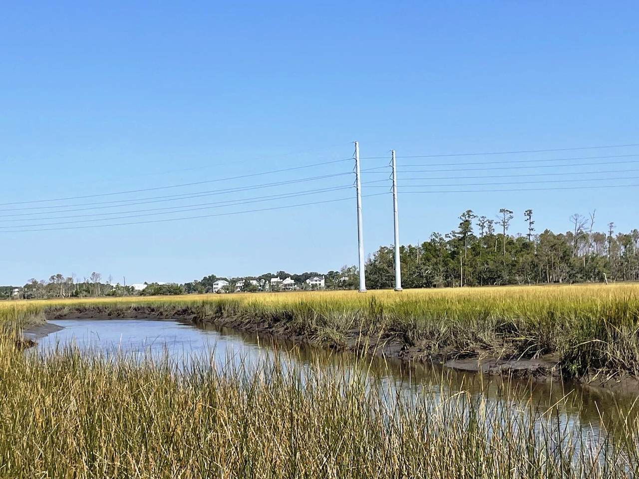 0 Fenwick Plantation Road - Photo 1
