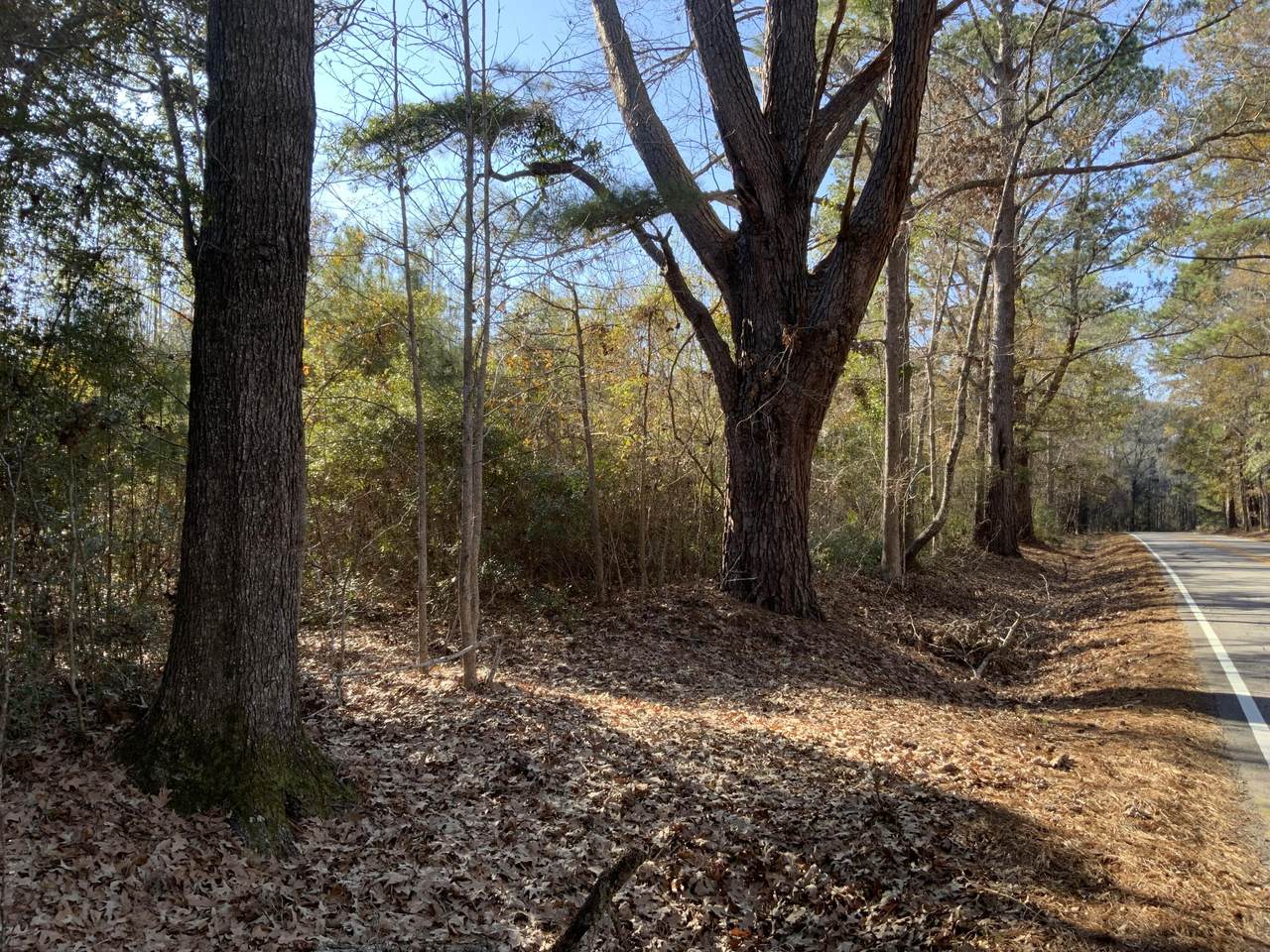 514 Paige Point Road - Photo 1