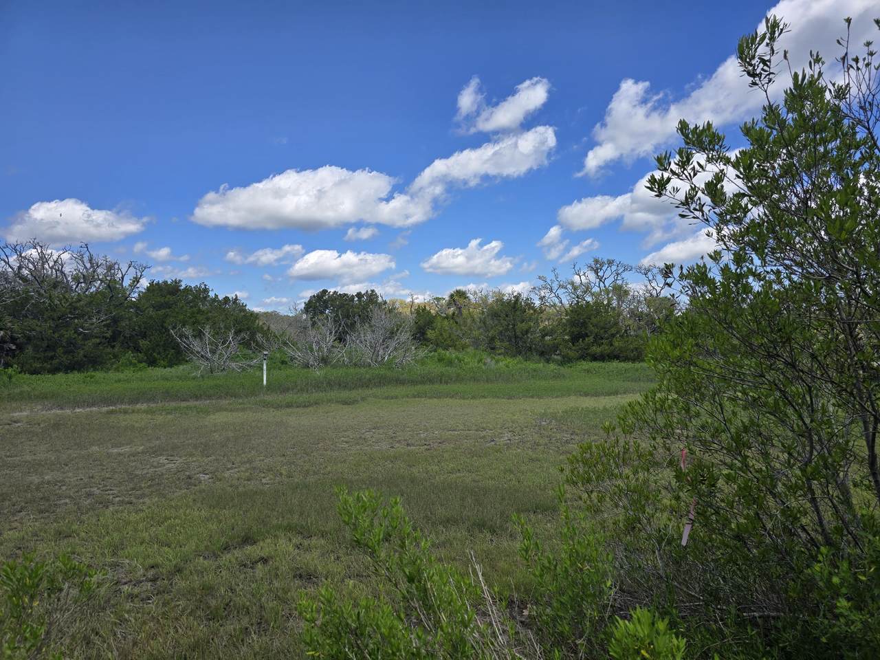 https://bt-photos.global.ssl.fastly.net/charleston/1280_boomver_2_25010819-2.jpg
