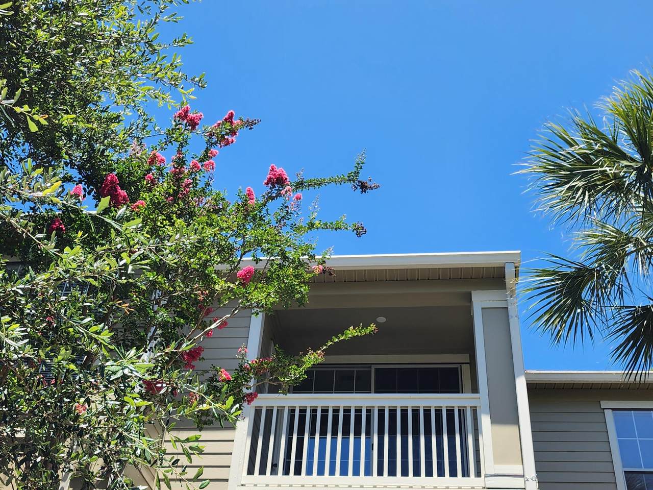 1600 Long Grove Drive - Photo 1