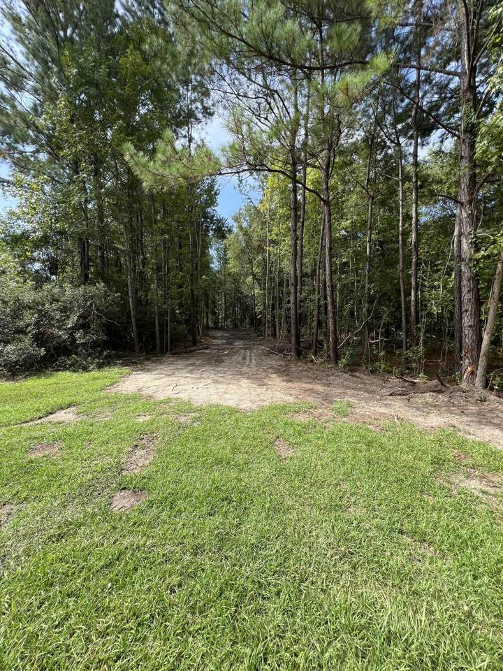 Lot 7 Wisteria Falls Trail - Photo 1