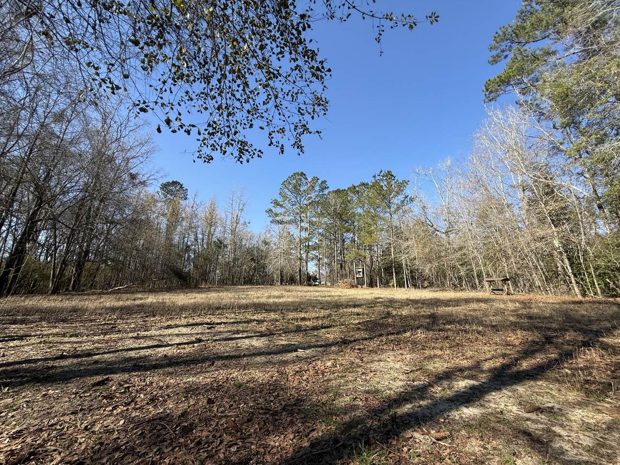 0000 Healing Springs Road - Photo 1