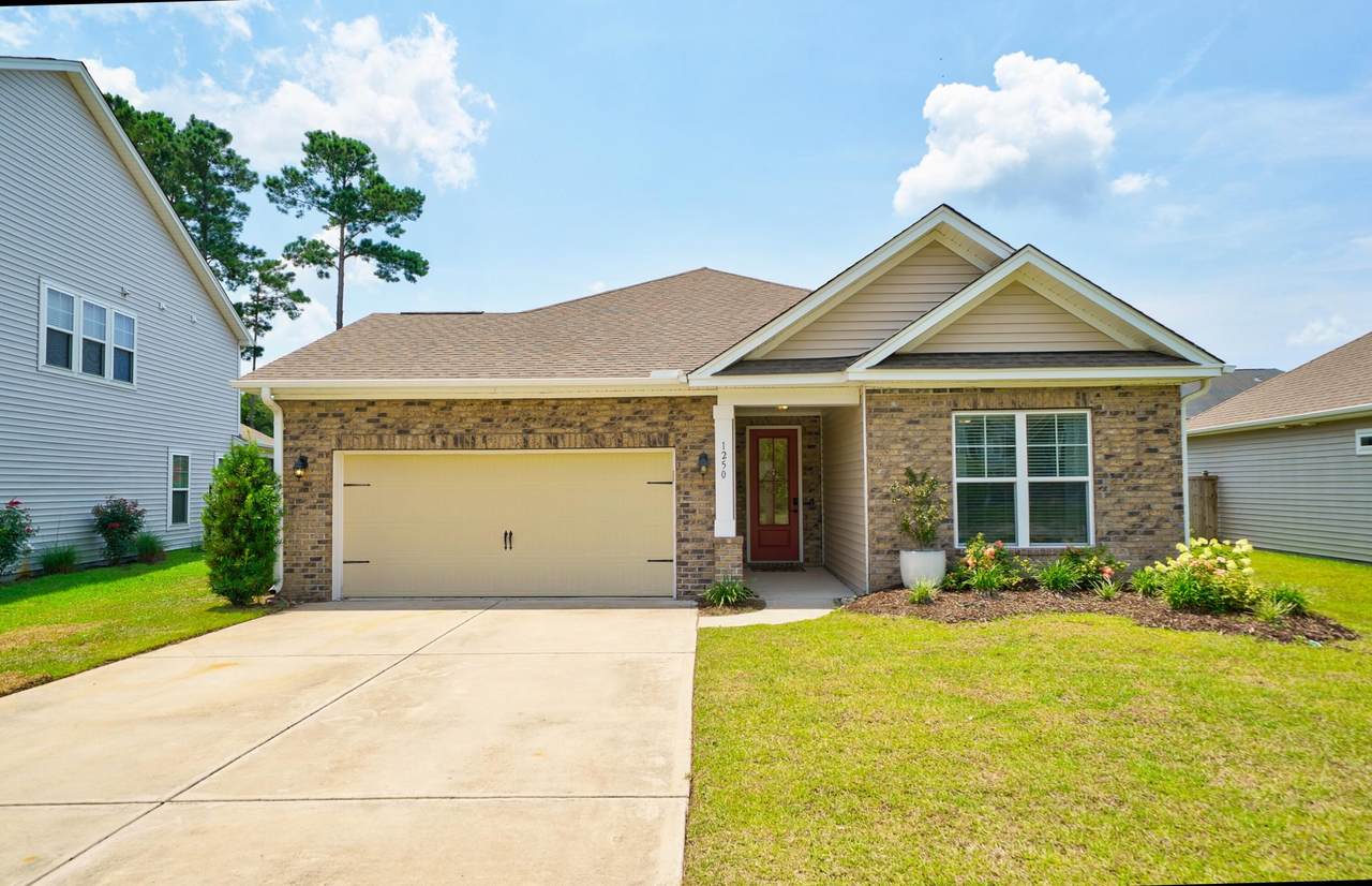 1250 Hammrick Lane - Photo 1