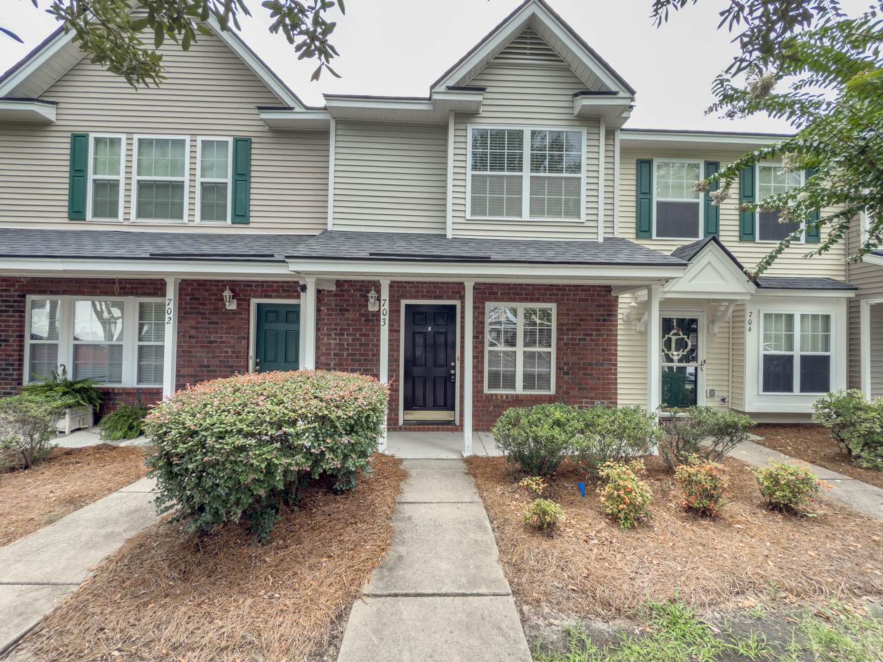 703 Pine Bluff Drive - Photo 1