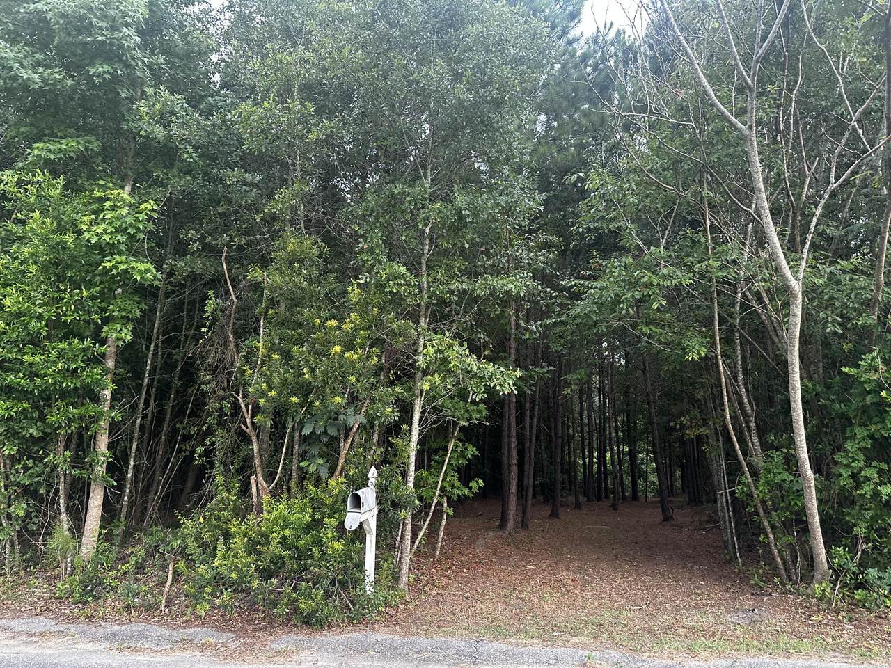0 Roosevelt Street - Photo 1