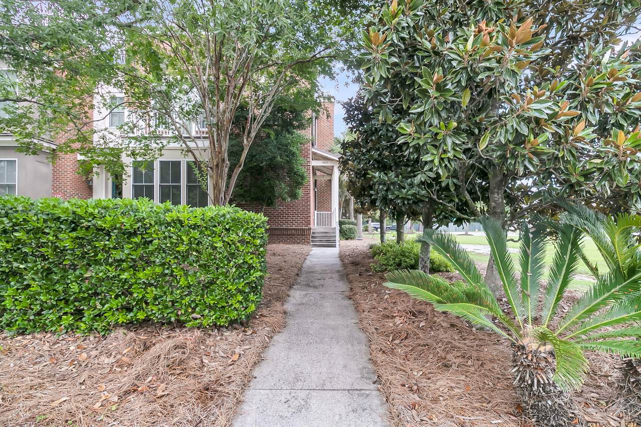 1601 Grey Marsh Road - Photo 1