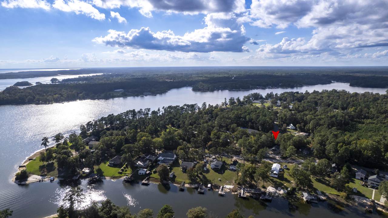 1229 Lemon Avenue - Photo 1