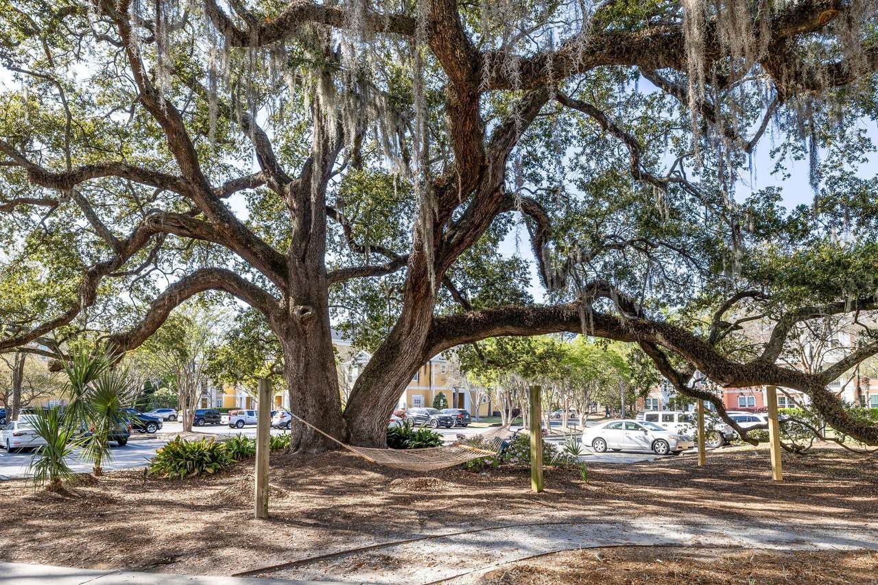 https://bt-photos.global.ssl.fastly.net/charleston/1280_boomver_2_25029300-2.jpg