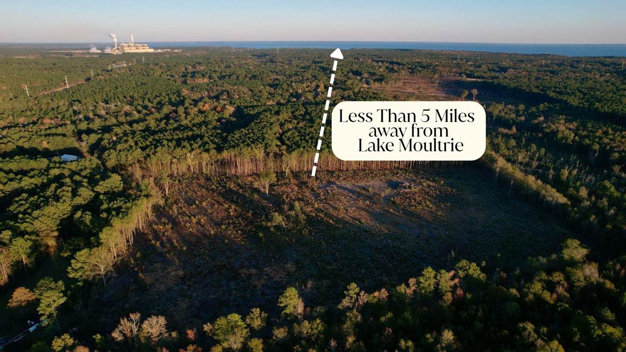 00 Saint Julian Drive - Photo 1