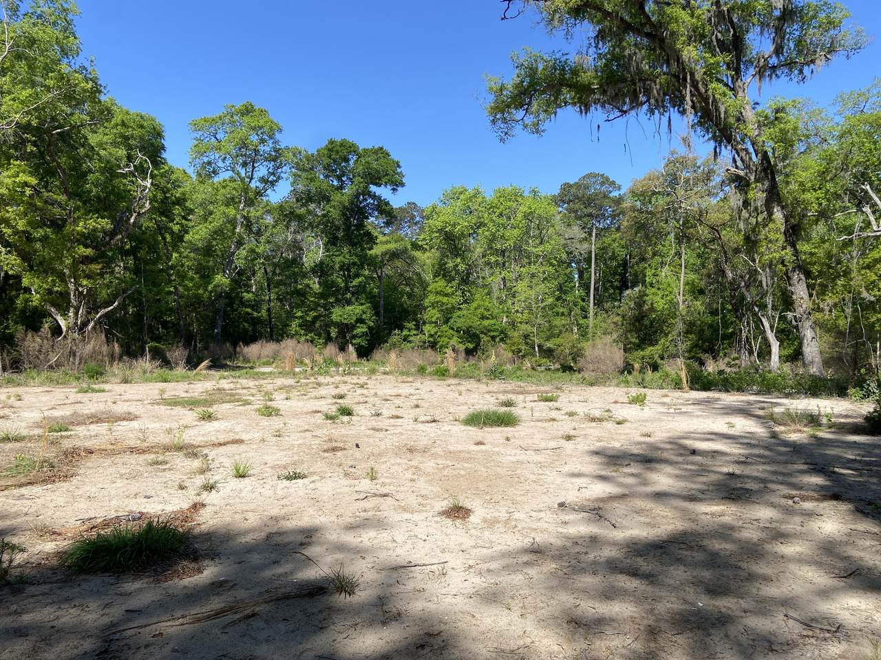 6079 Josie Ridge Road - Photo 1