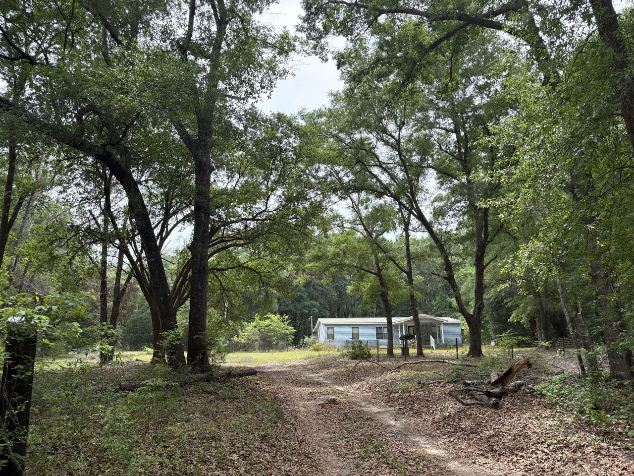 153 Joshua Lane - Photo 1