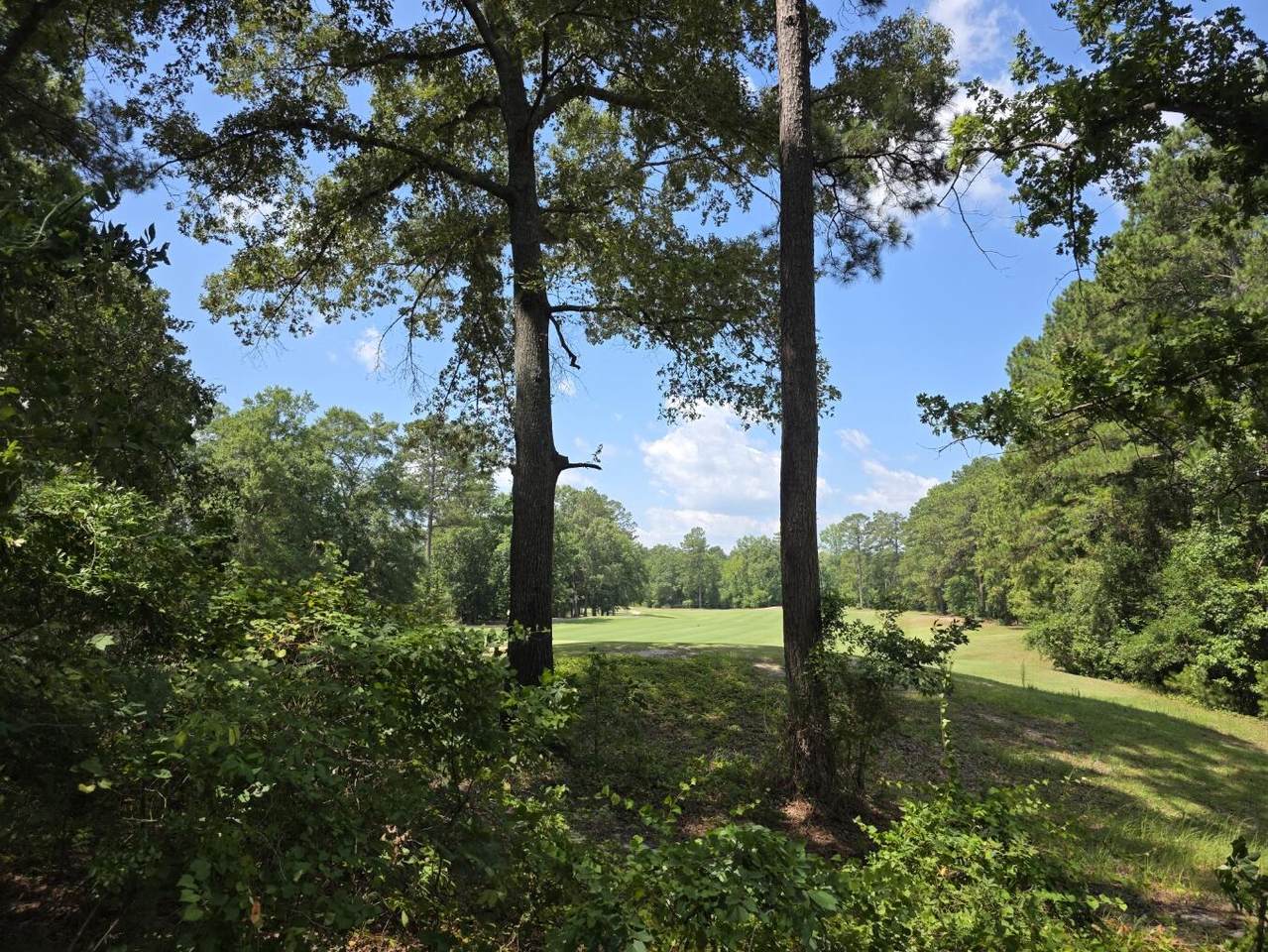 https://bt-photos.global.ssl.fastly.net/charleston/orig_boomver_2_26016210-2.jpg