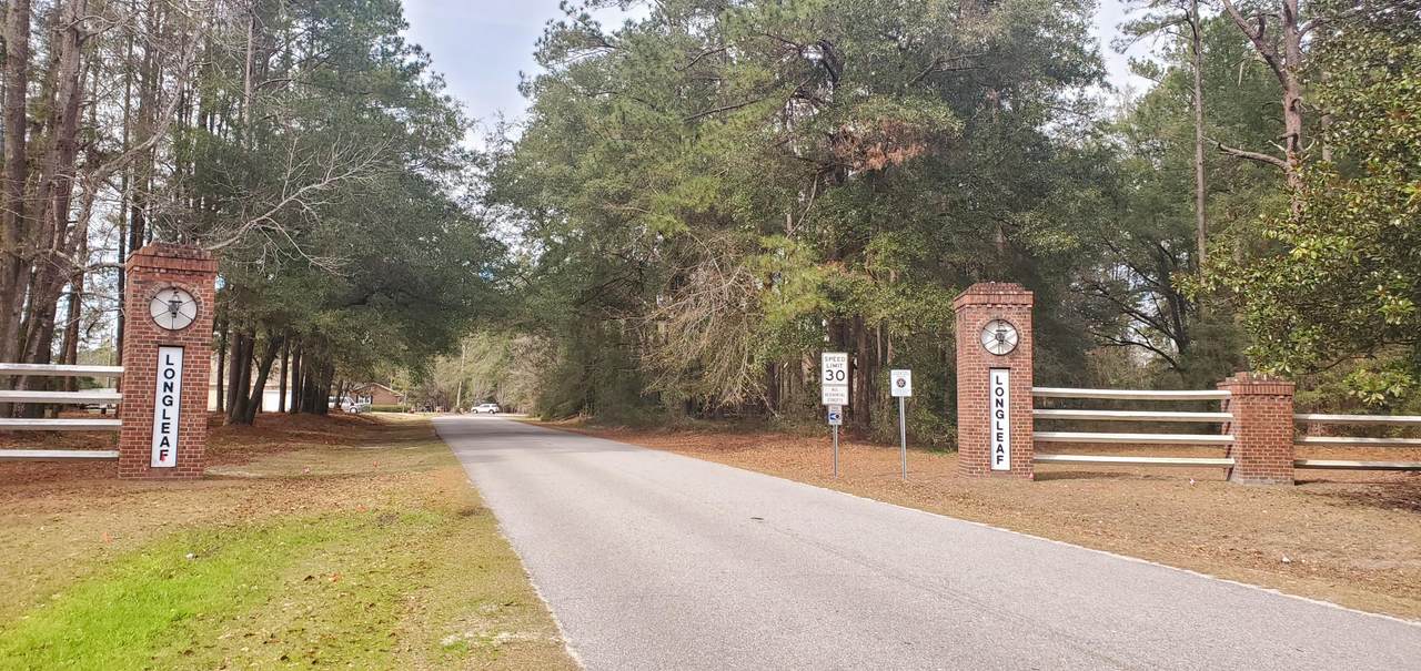 0 Longleaf Drive - Photo 1