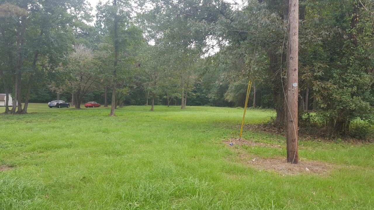 5570 Ritter Road - Photo 1