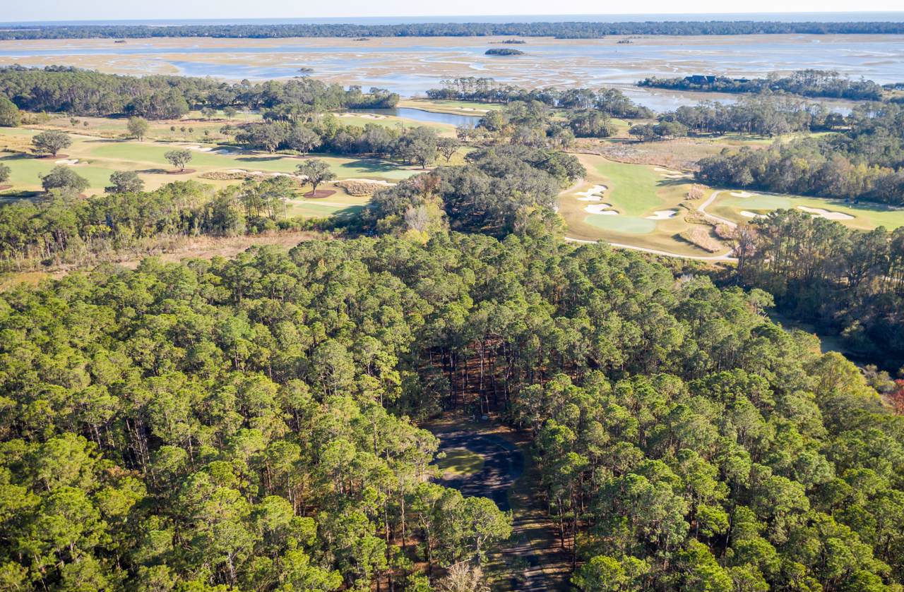 43 Nesting Egret Drive - Photo 1