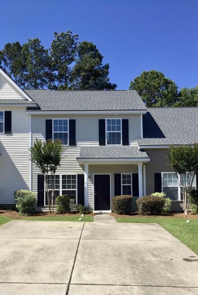 123 Lynches River Drive - Photo 1