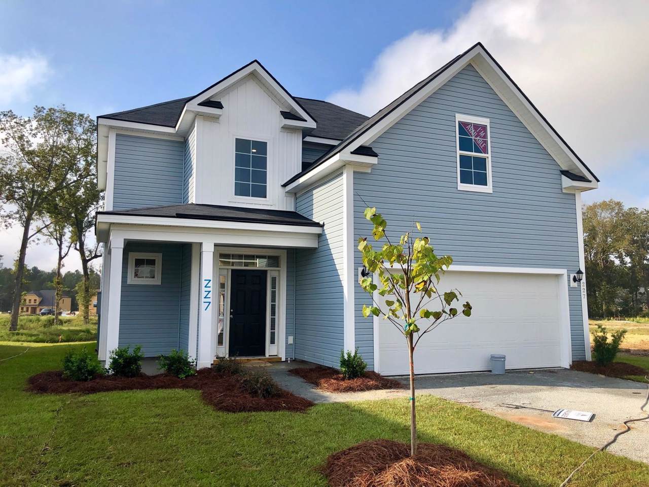227 Catawba Branch Way - Photo 1