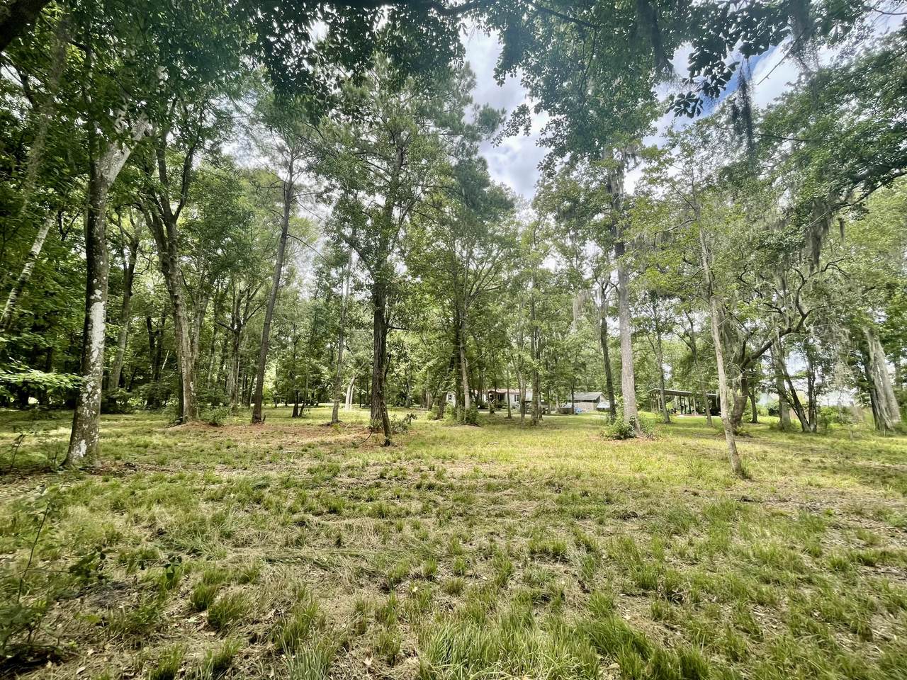 2744 Pinelog Lane - Photo 1