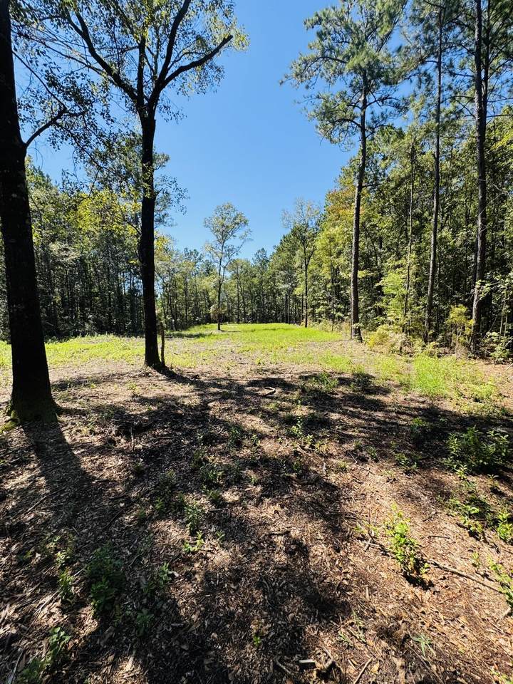 00 Mcdanieltown Road - Photo 1